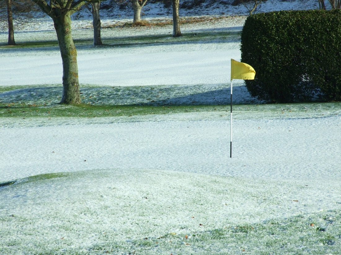 ⛳ The First Tee of the Year, and Already We’ve Lost