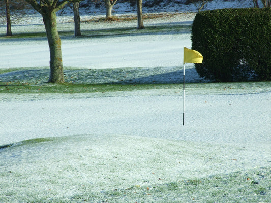 ⛳ The First Tee of the Year, and Already We’ve Lost