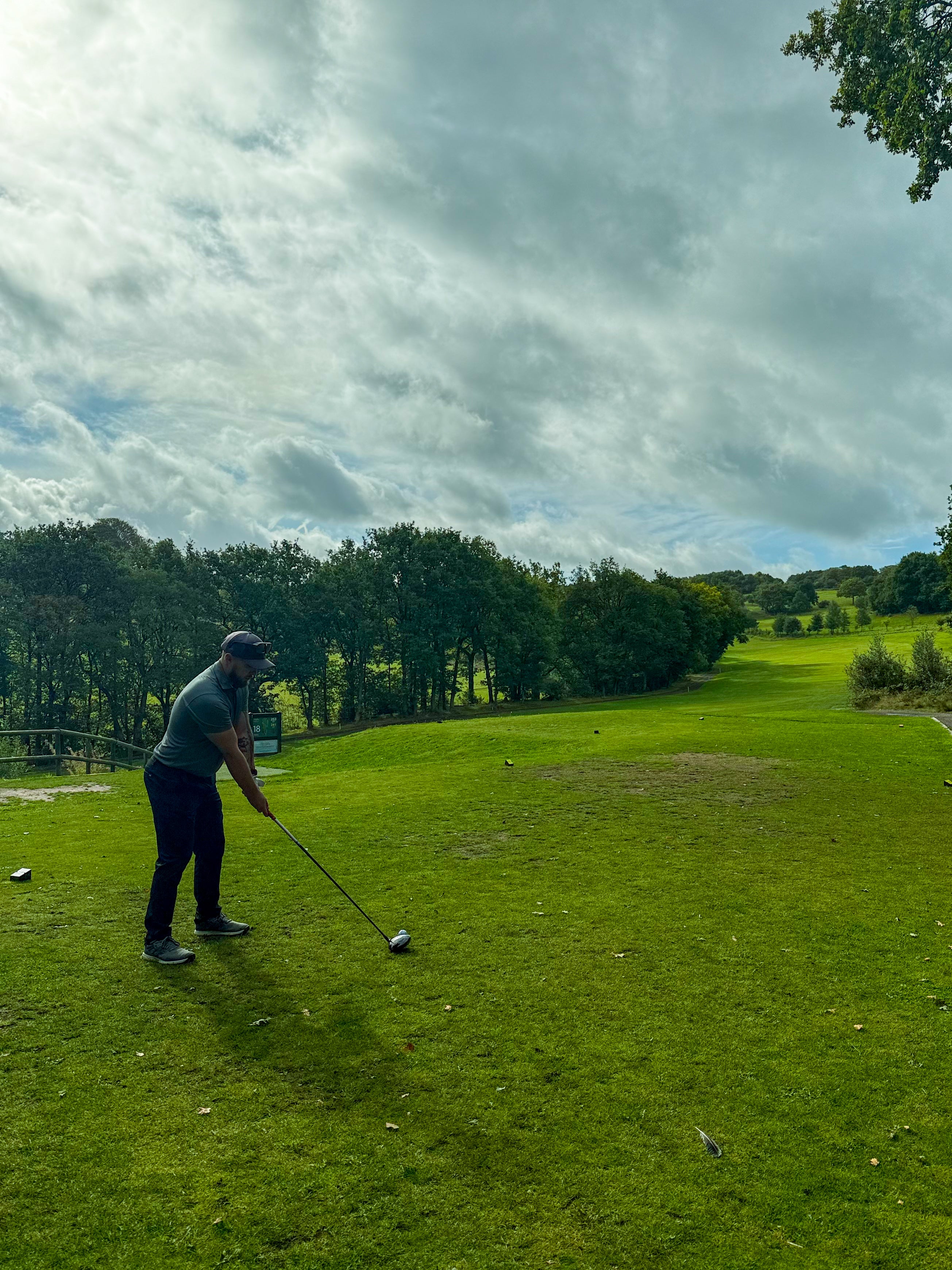 Pyrrhic owner playing golf on a green course with trees and a cloudy sky in the background